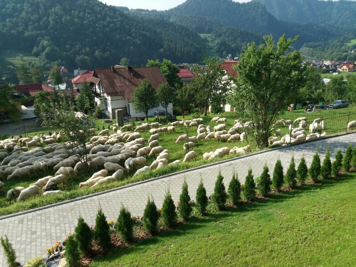 Pokoje U Celinki Szczawnica Extérieur photo